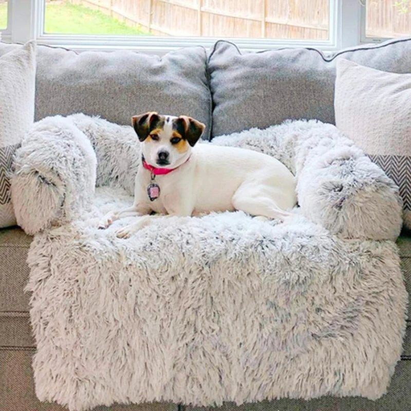 Pawsthetic Premium Couch Cover