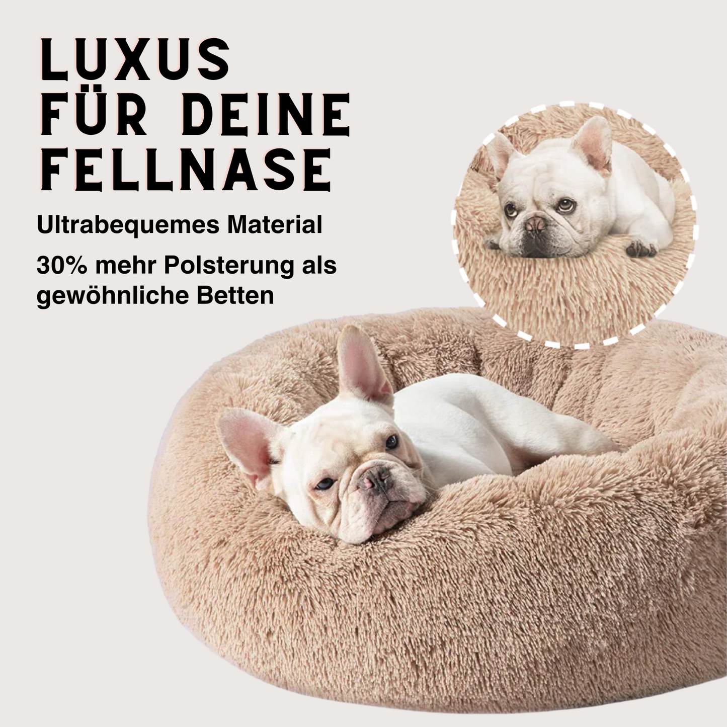Pawsthetic Premium Bett Kuschelhimmel