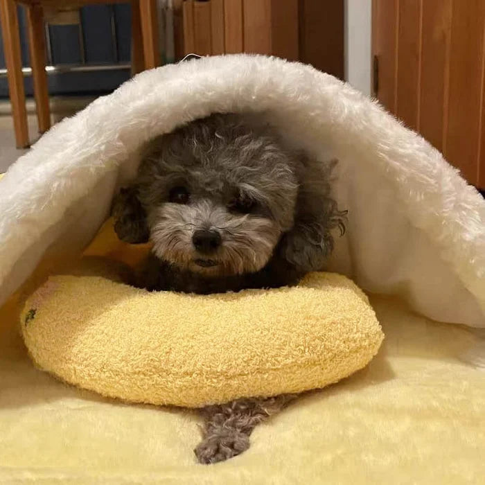 Pawsthetic Wohlfühl Relaxkissen - Pawsthetic